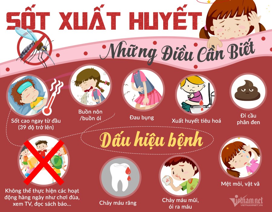 Phòng bệnh sốt xuất huyết ở trẻ em và người lớn