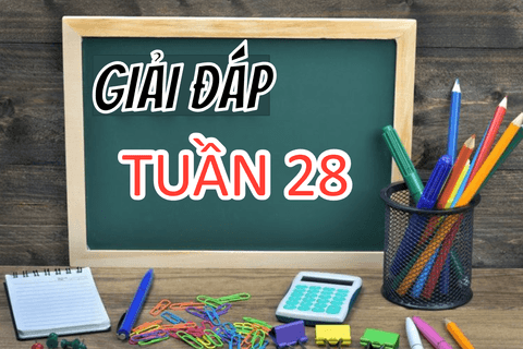 Giải đáp Phiếu ôn tập Toán + Tiếng Việt tuần 28