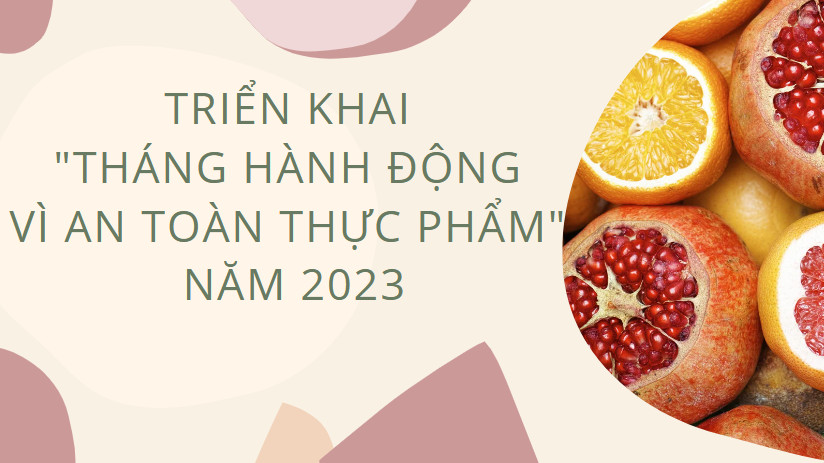 Tăng cường công tác quản lý an toàn thực phẩm các cơ sở giáo dục và triển khai “Tháng hành động vì an toàn thực phẩm” năm 2023
