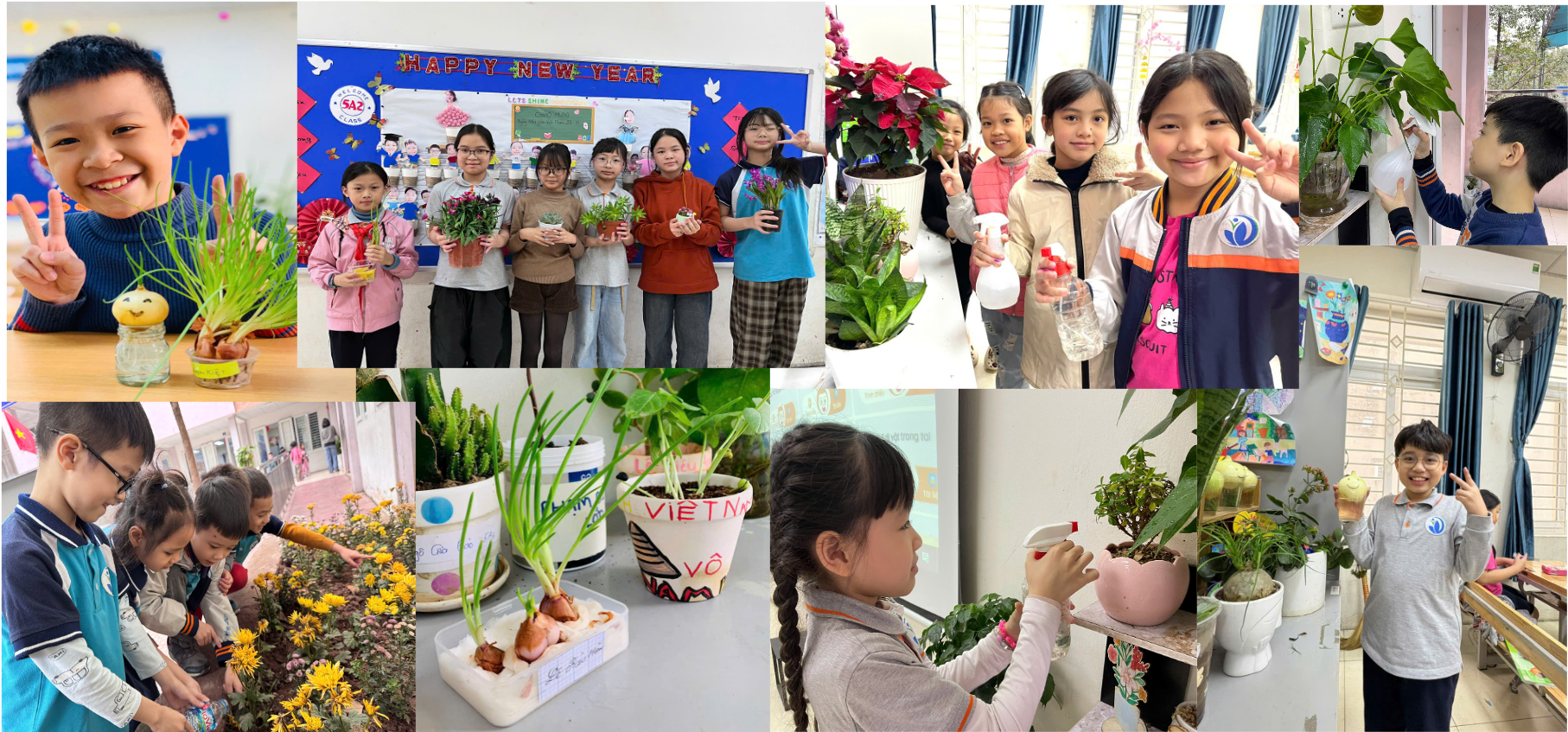 Tinh thần hưởng ứng phong trào Tết trồng cây - “Đời đời nhớ ơn Bác Hồ” của thầy và trò Trường Tiểu học Vạn Phúc